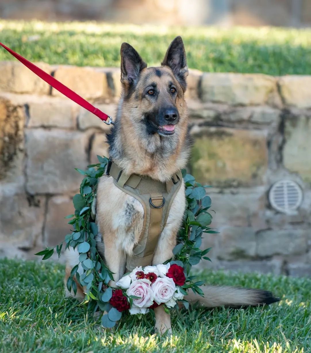 Shelby sitting on the lawn at the wedding, wearing a garland of eucalyptus and roses